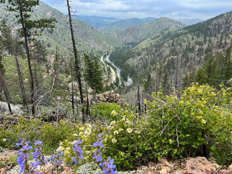 Kreutzer Nature Trail in Poudre Canyon