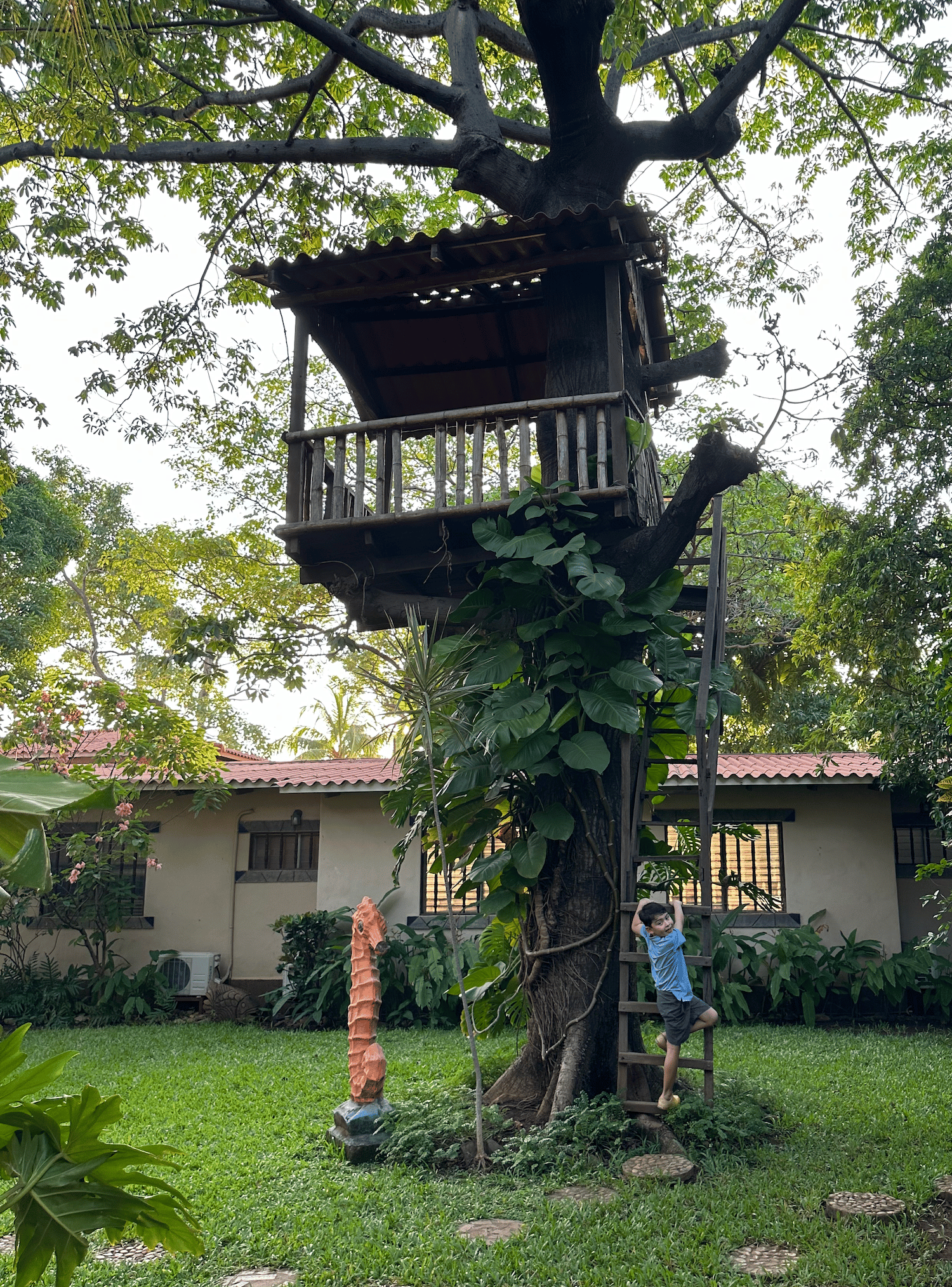 Treehouse