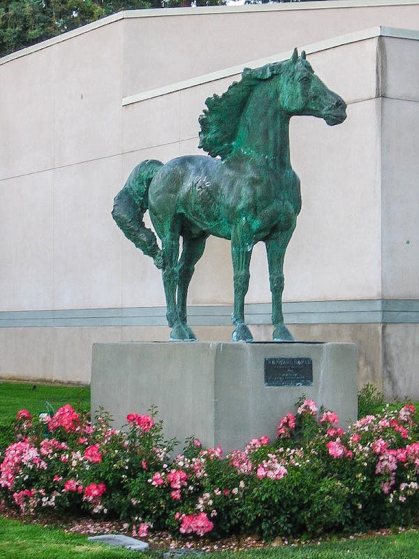 Morgan Horse sculpture by artist Alexandrovich “Sascha” Stanislav Schnittmann, located in front of the Triton Museum of Art, in Santa Clara, California