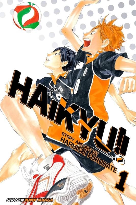 Book cover for Haikyu!! Vol 1: Hinata and Kageyama by Haruichi Furudate