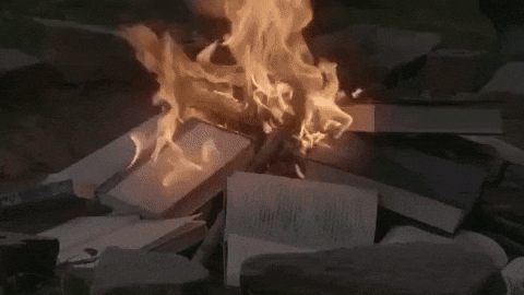 GIF a few seconds clipped of Burning Books by Declan McKenna