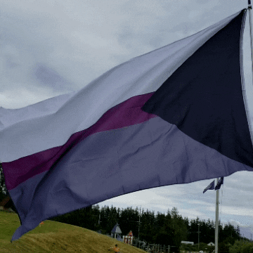 Demisexual Pride Flag GIF by AceArchive