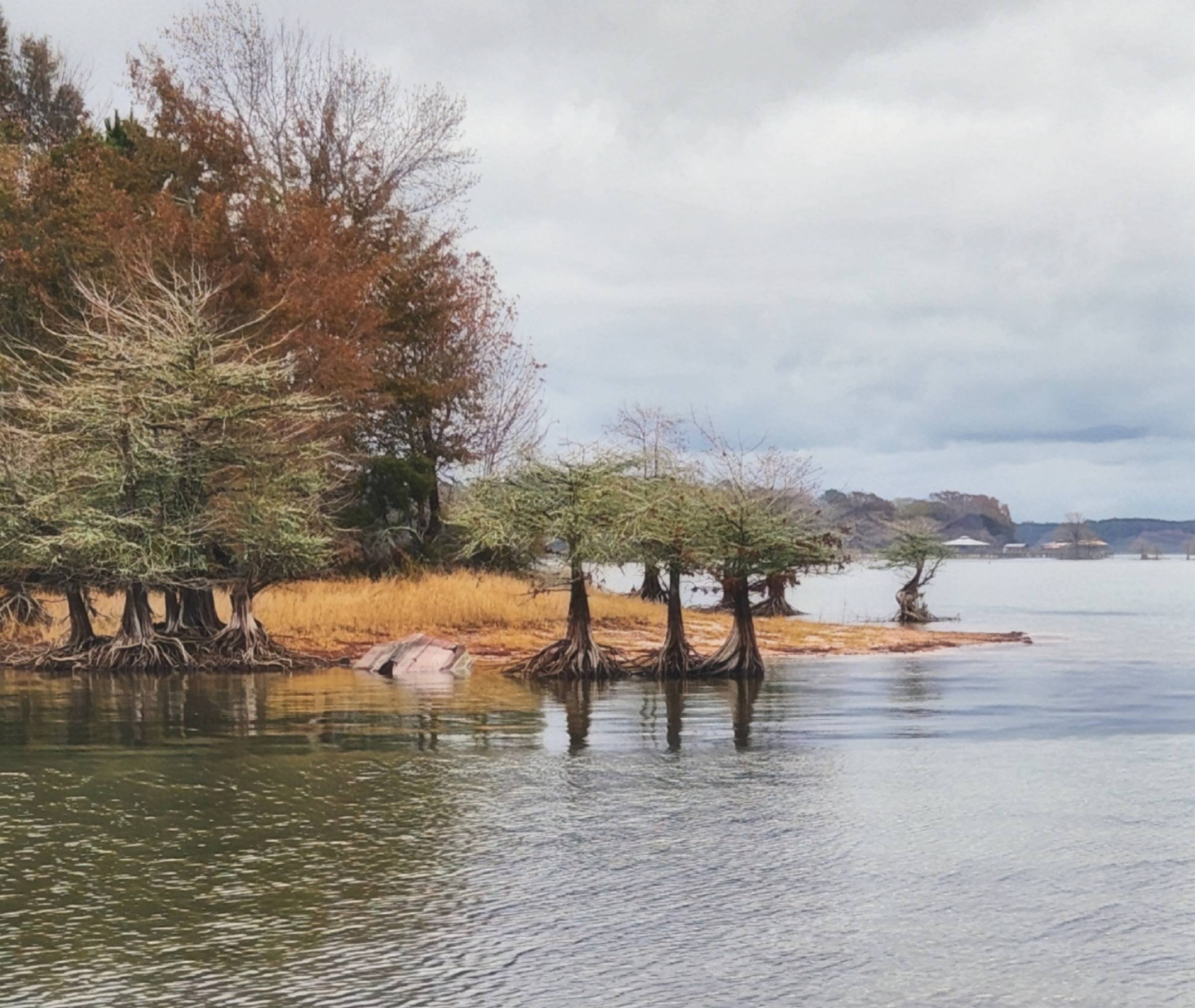 Lake shoreline picture with trees