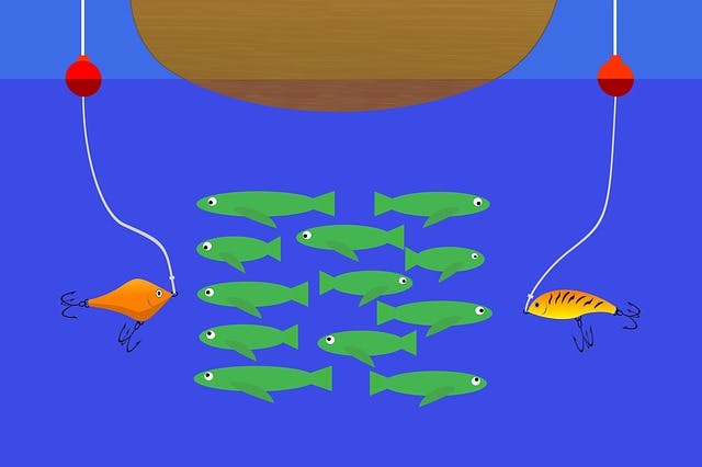 color drawing of fish and lures underwater