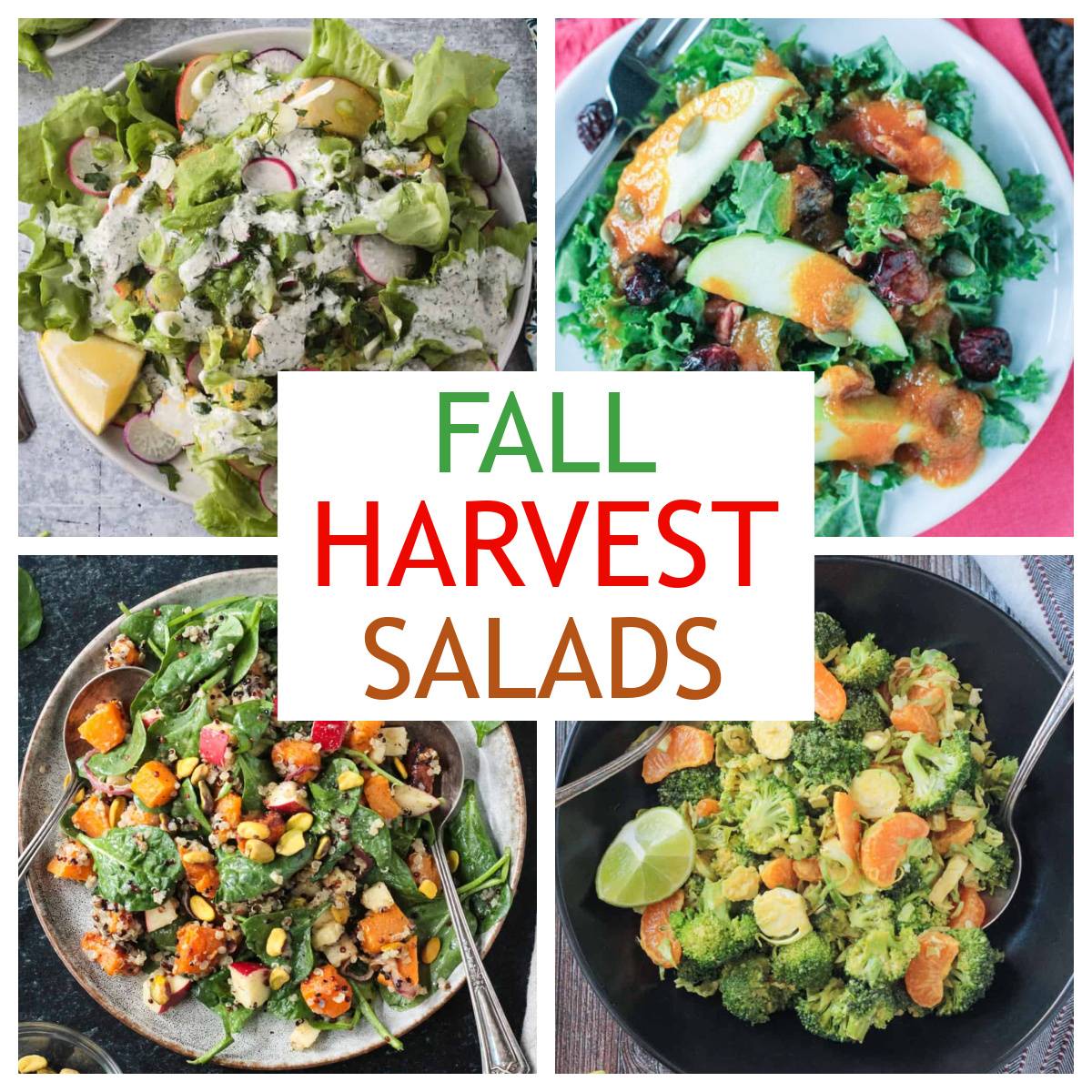 Four photo collage of vegan fall harvest salads