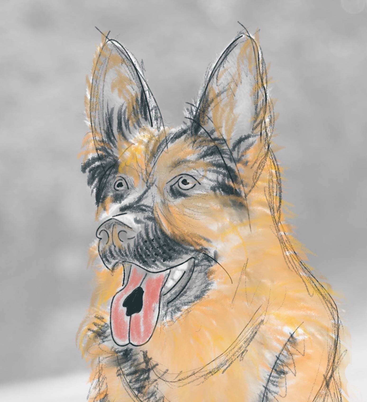 Sketch-style illustration of a German Shepherd’s head and upper body on a soft gray background. The dog has large upright ears, expressive eyes, and an open mouth with its tongue hanging out, giving a happy, alert expression. The drawing uses loose black lines with textured shading in warm golden and tan tones, accented with darker gray and black around the muzzle and face. The style is rough and energetic, with visible strokes that suggest fur rather than precise detail.