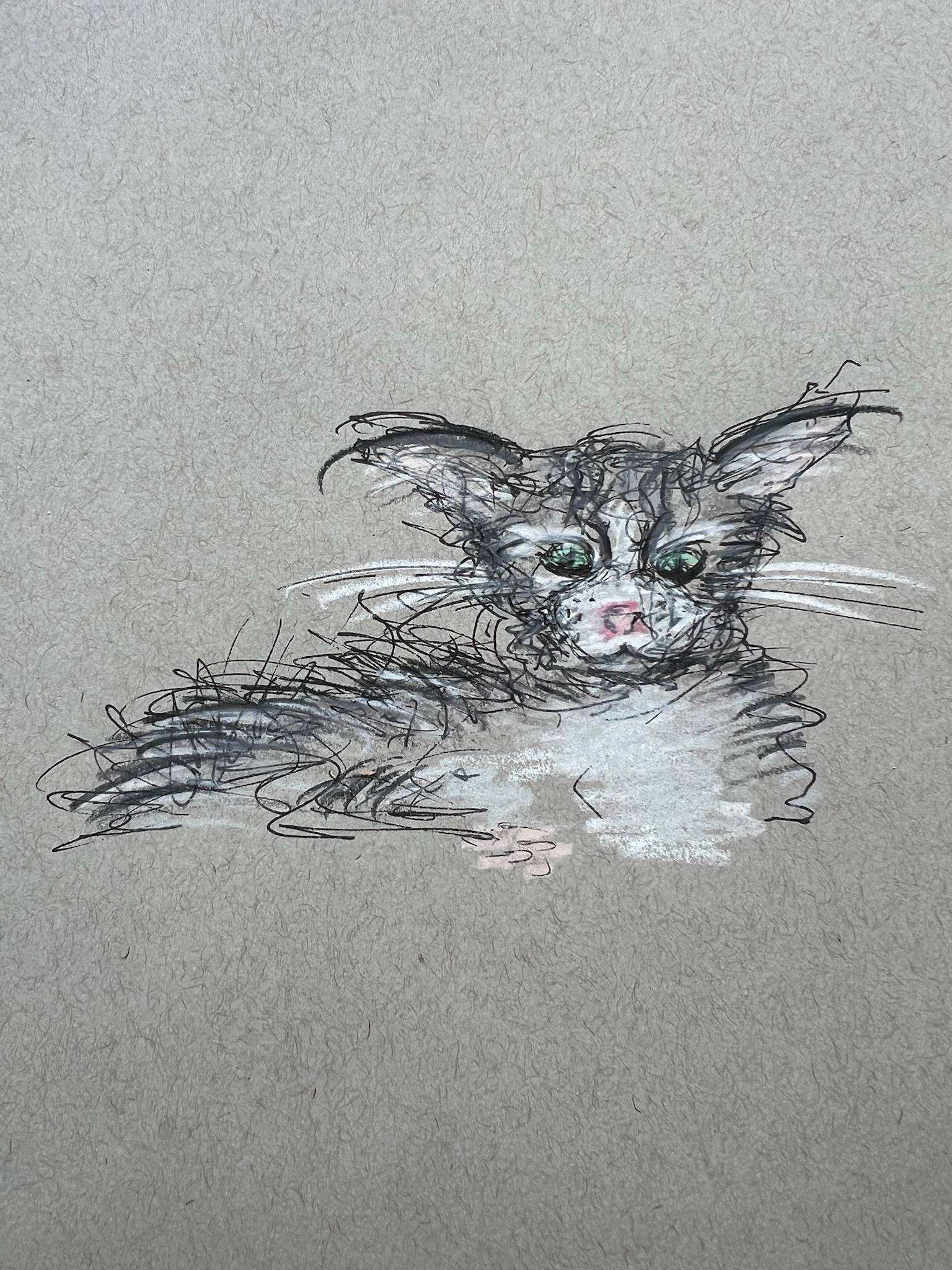 Loose, expressive sketch of a gray-and-white cat lying down on textured gray paper. The cat has large upright ears, bright green eyes, and a small pink nose, drawn with energetic black scribble lines and soft white highlights. The style is playful and impressionistic, giving the cat a slightly mischievous, alert expression despite its relaxed pose.