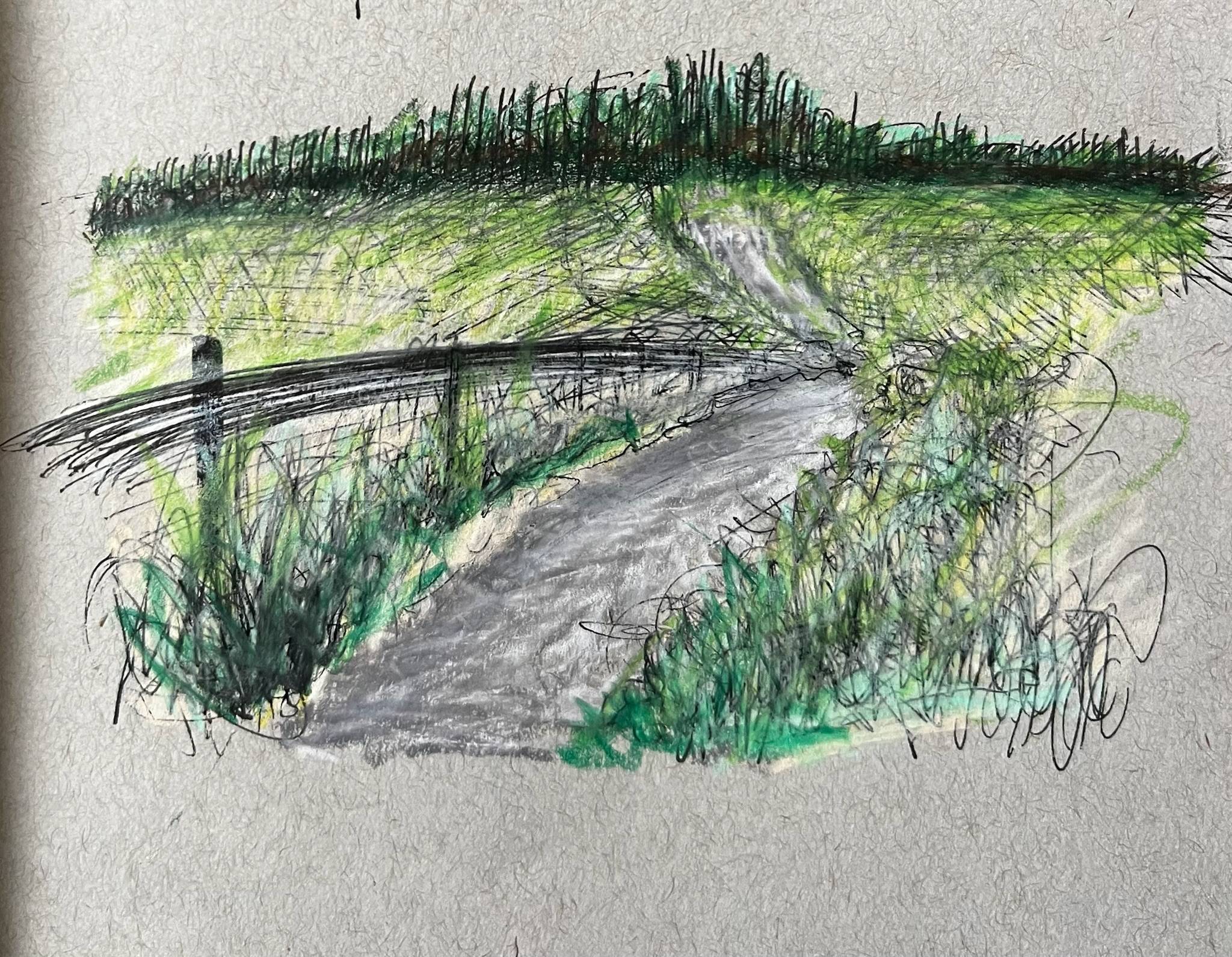 A loose, expressive sketch of a winding paved path leading uphill through lush green vegetation. A rustic wooden fence runs alongside the left side of the path, while tall grasses and wild plants frame both edges. The hill rises to a line of dense trees at the top, with layered pencil, ink, and green colored-pencil strokes creating an energetic, impressionistic feel. The unfinished edges and visible sketch marks emphasize movement and texture rather than fine detail.