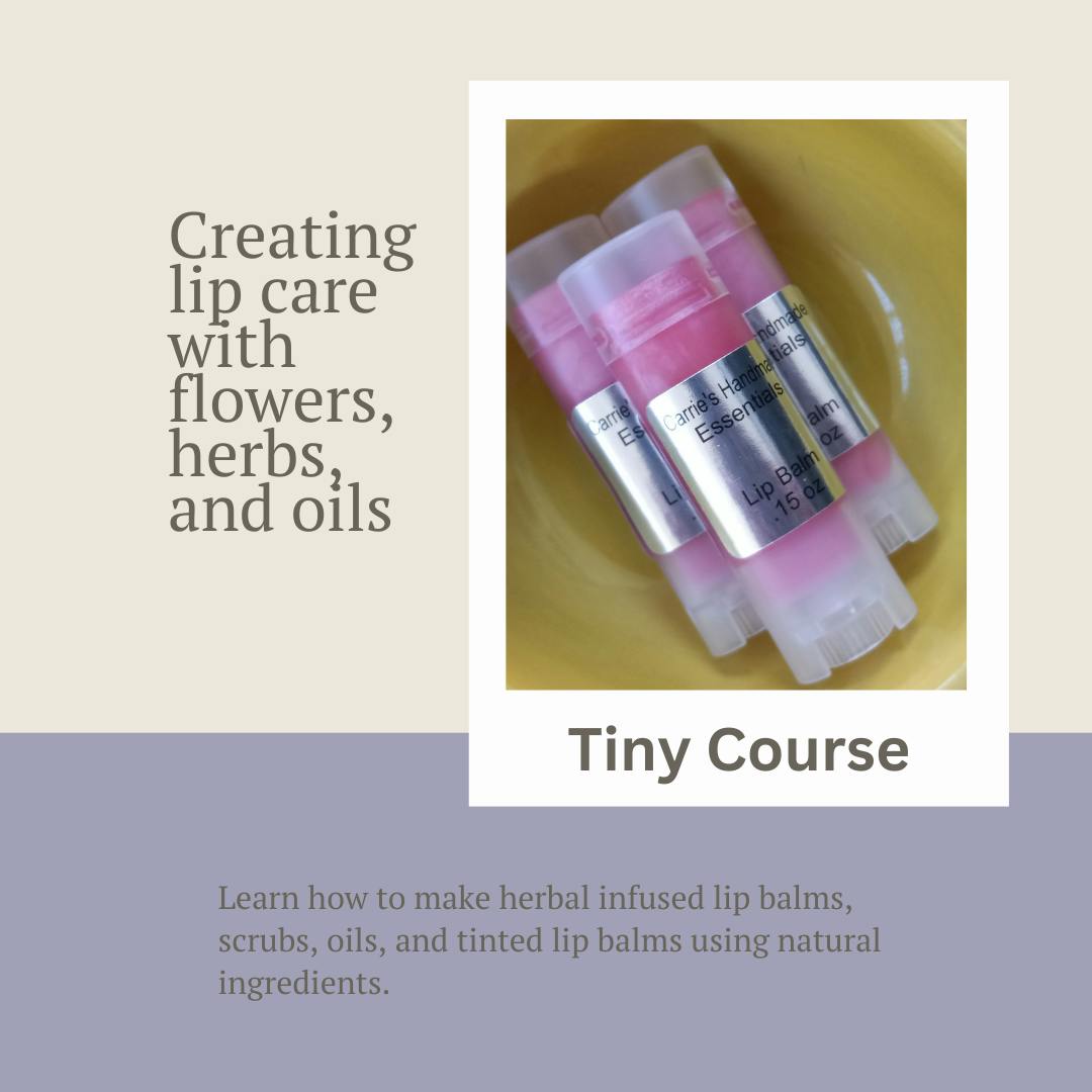 Tiny Course: Herbal Kiss: Crafting Lip Care with Flowers, Herbs, and Oils