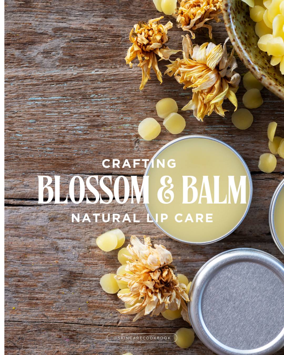 Blossom & Balm Workbook Course