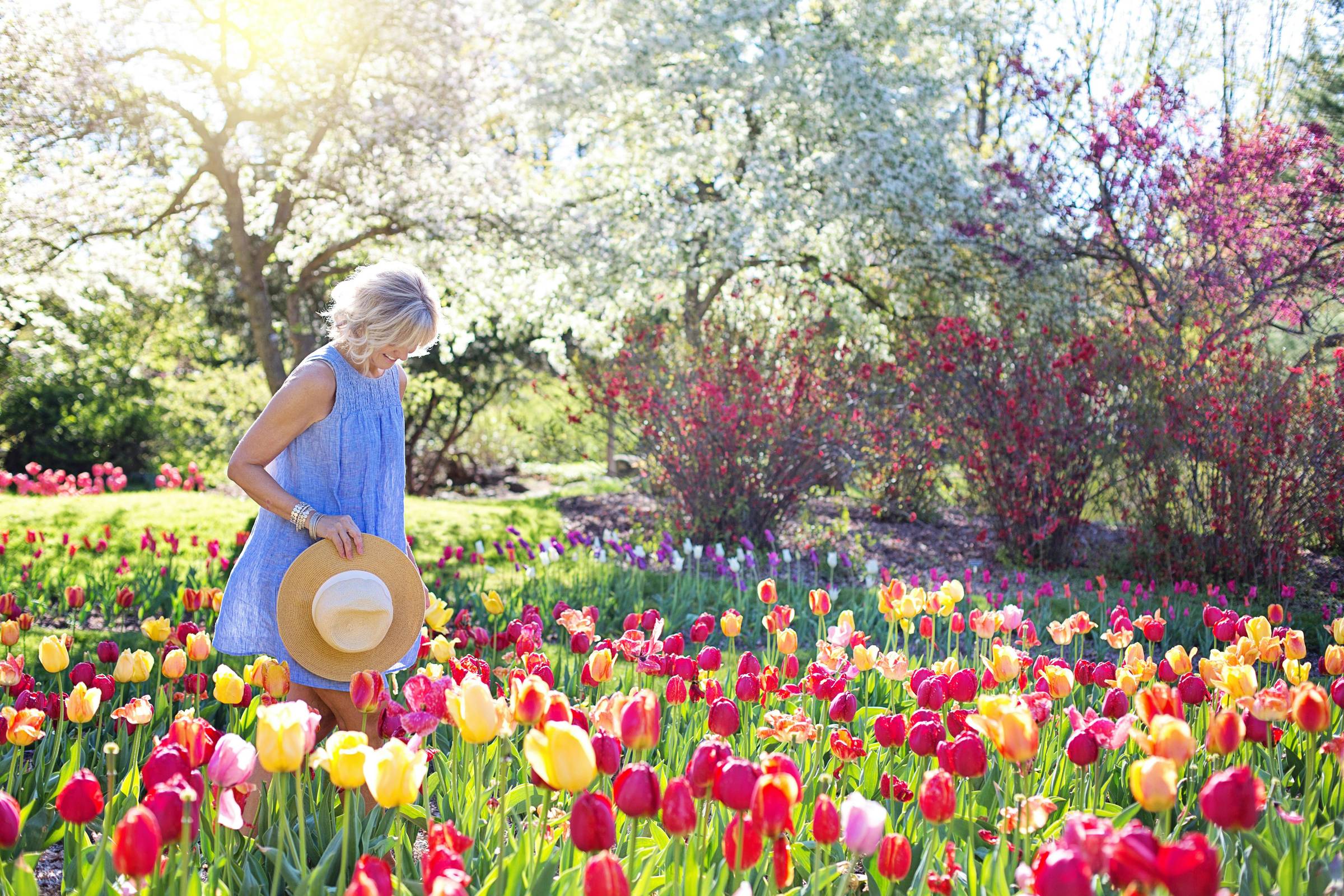 Why Calendula is a Skincare Superstar