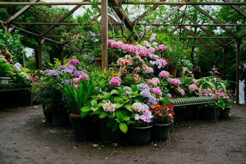 A beautiful garden filled with colorful flowers.