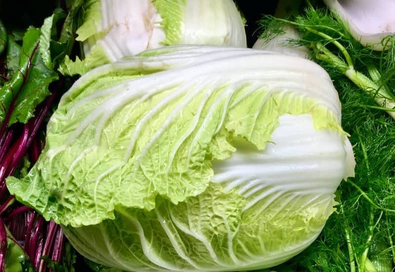 green lettuce on red plastic container