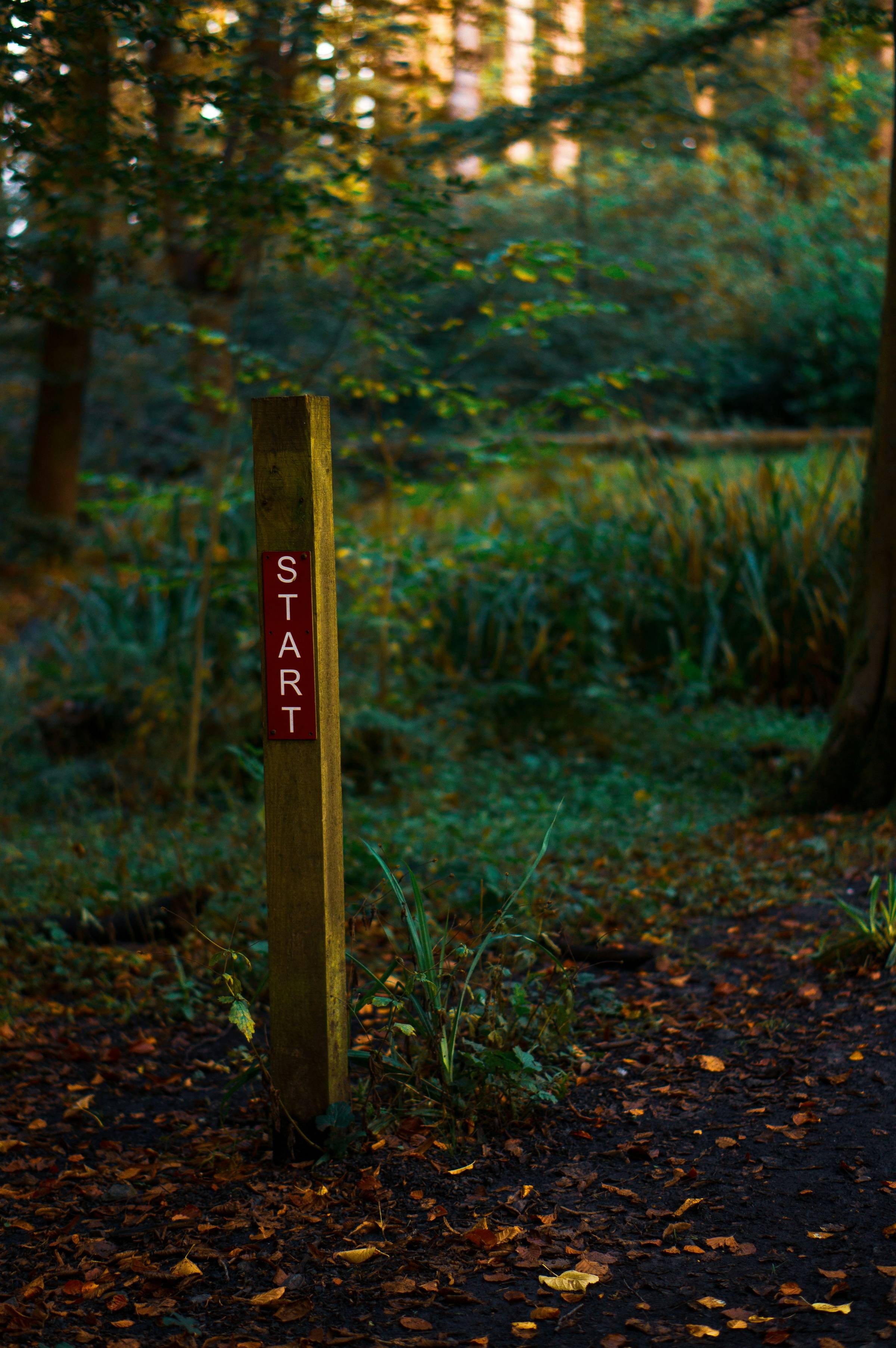 An image of a post staying "Start" in white writing on a red background, on a woodland path. But in real life, starting a spiritual path isn't always this clear!