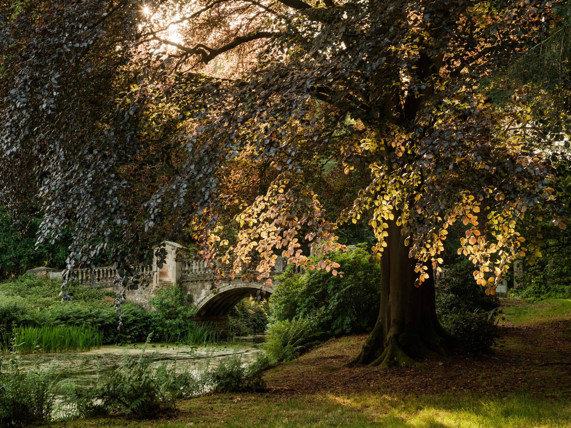 Weston Park, England
