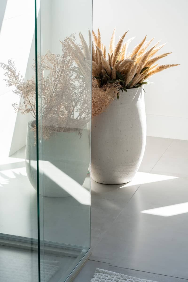 Dried plants in white ceramic pots with sunlight and shadows.