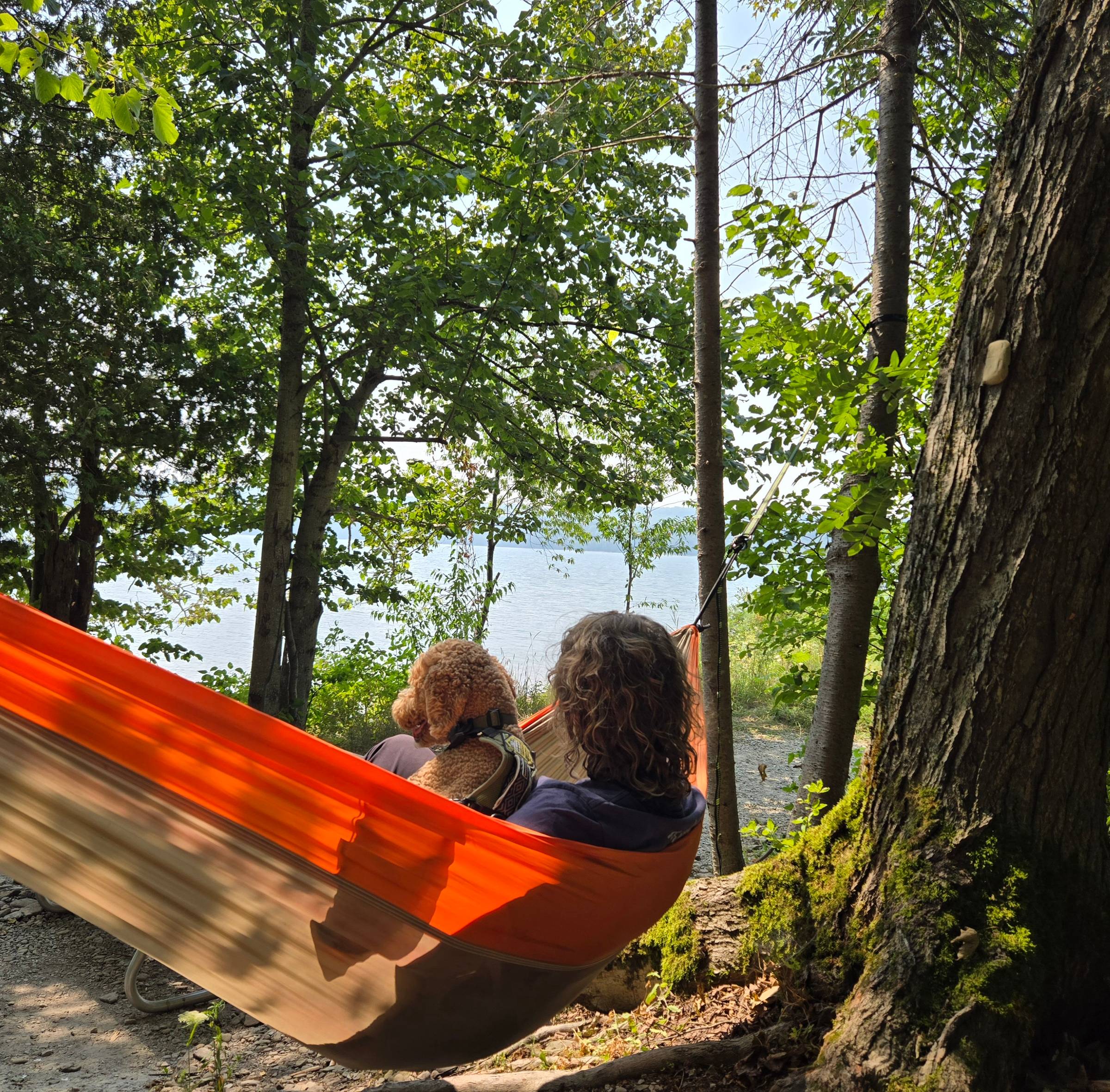 A person and a dog resting in a hammock looking at a lake