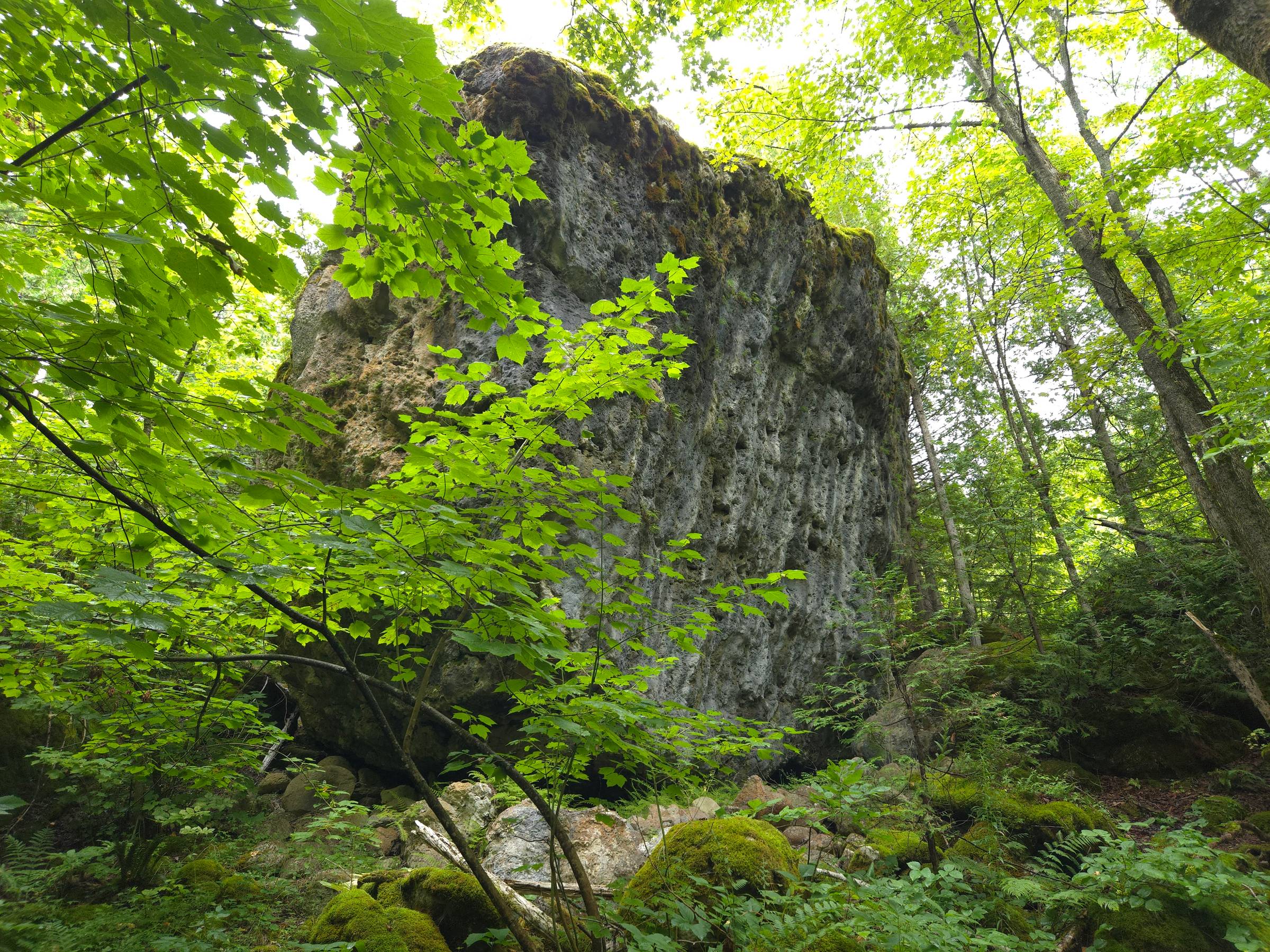 Large moss-covered rock formation surrounded by dense green forest.