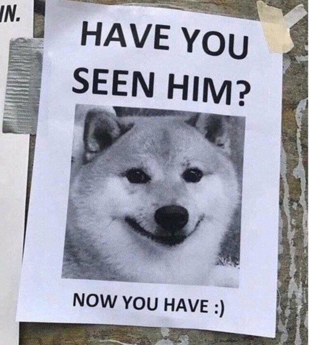 #34: Have you seen him? meme