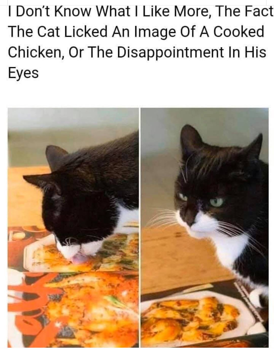 #93: Not chicken meme