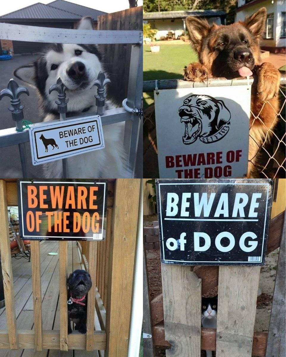 #73: Beware meme