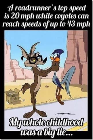 #41: ACME meme