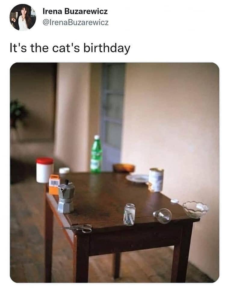 #63: The cat's birthday meme