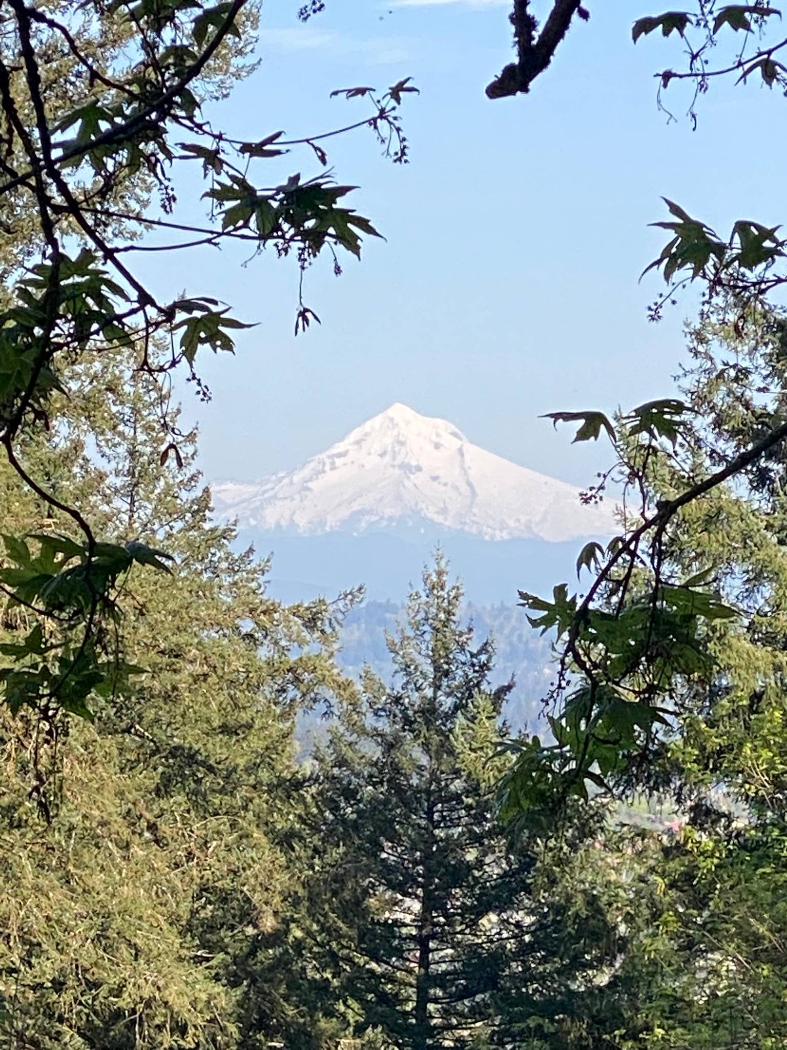 Mount Hood from Mount Tabor Park in Portland, OR