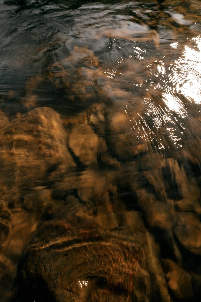 Clear water ripples over dark, submerged riverbed rocks.