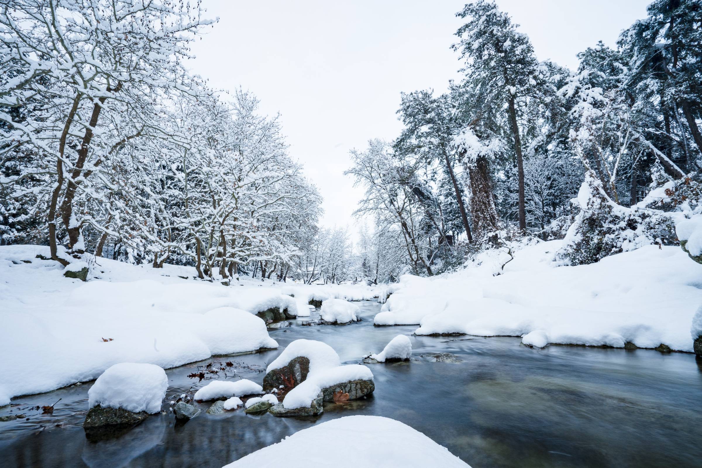 We love all seasons in Greece.  Here is a magical wintry moment on Mt. Olympus. (Photo Credit: Vasileios Arsenis)