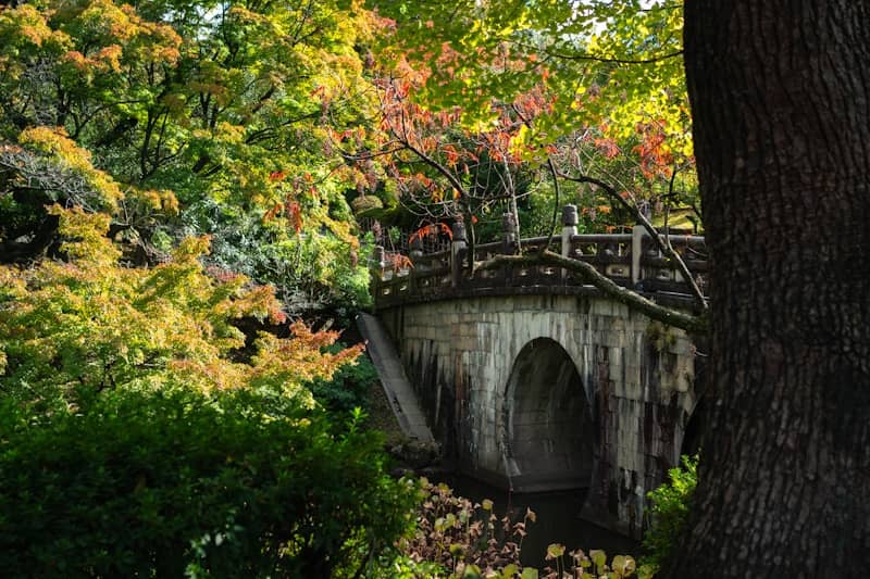 A stone bridge surrounded by trees in a park