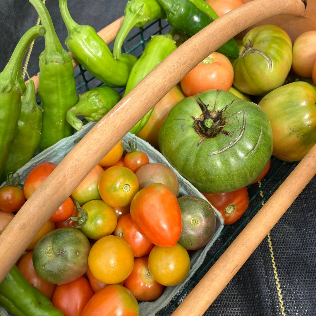 basket full of tomatoes and peppers