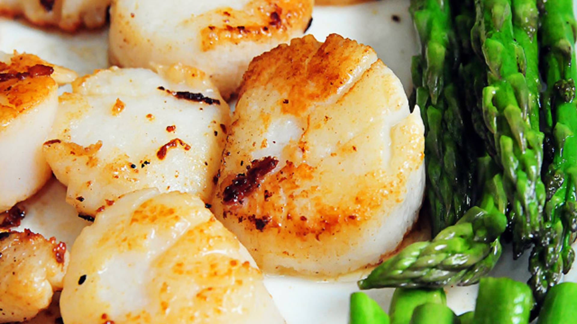 Fresh seared scalloped and roasted asparagus on a white plate. 