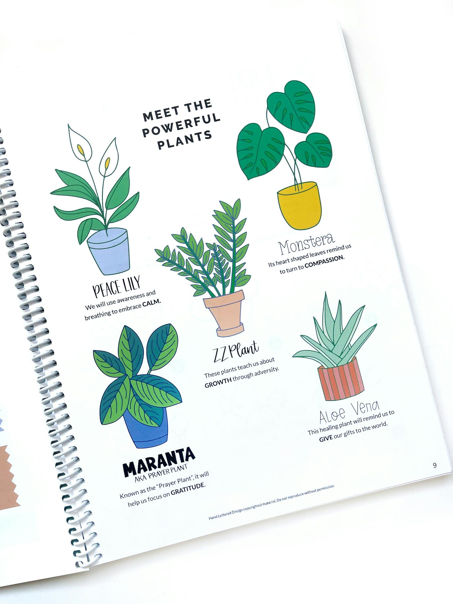 Meet my new book: Mindful Lettering for Fun: Plant Edition! – Hand