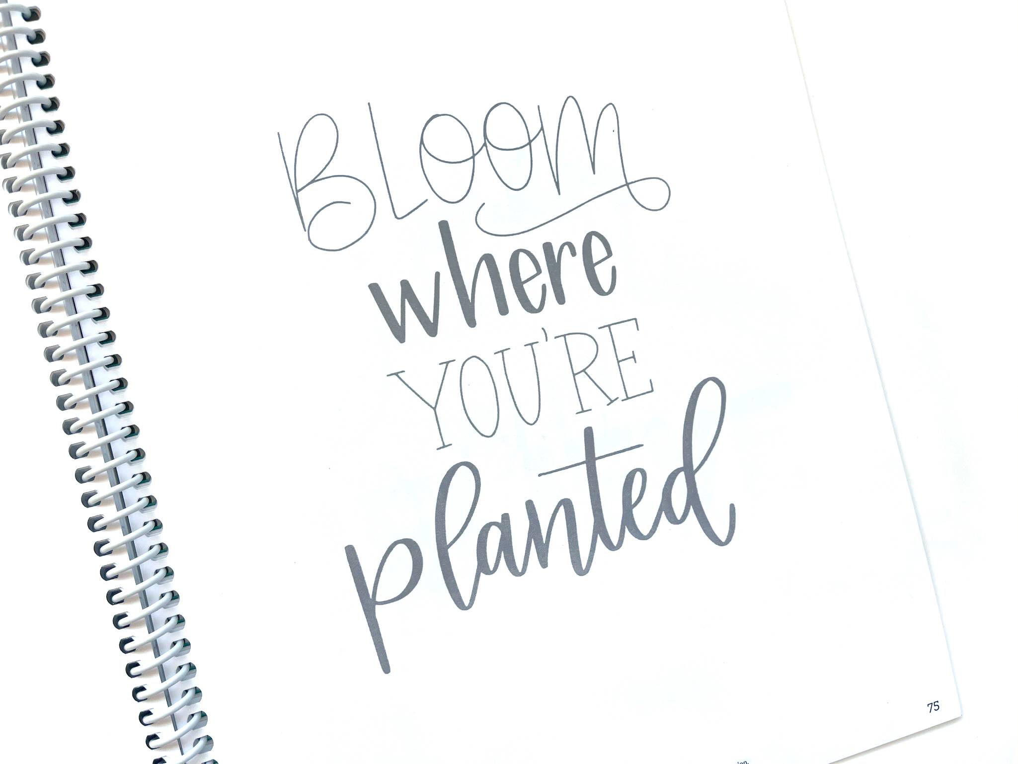 Meet my new book: Mindful Lettering for Fun: Plant Edition! – Hand