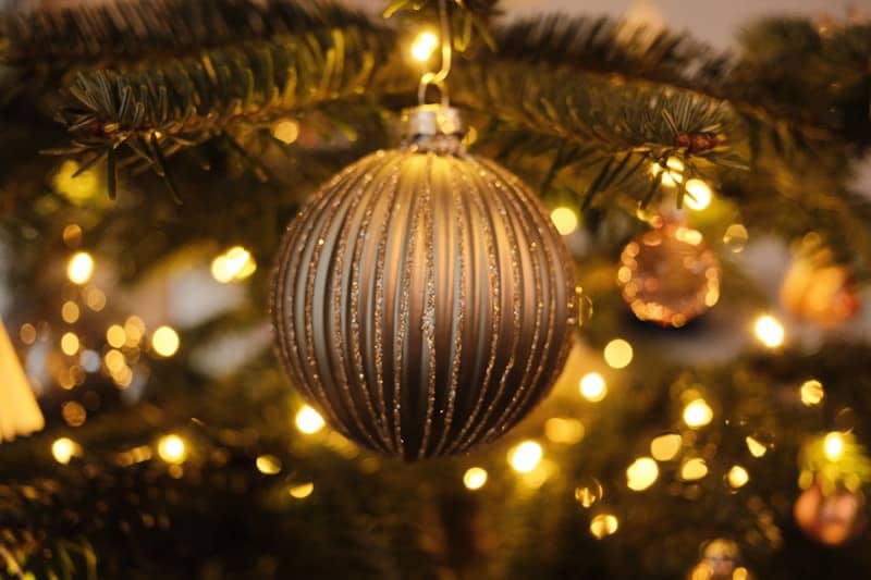 Close-up of a christmas ornament on a tree.