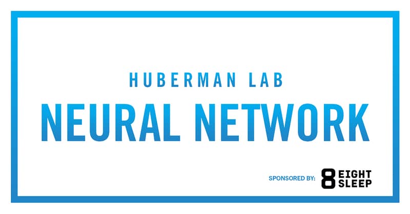 Huberman Lab Neural Network Sponsored by Eight Sleep