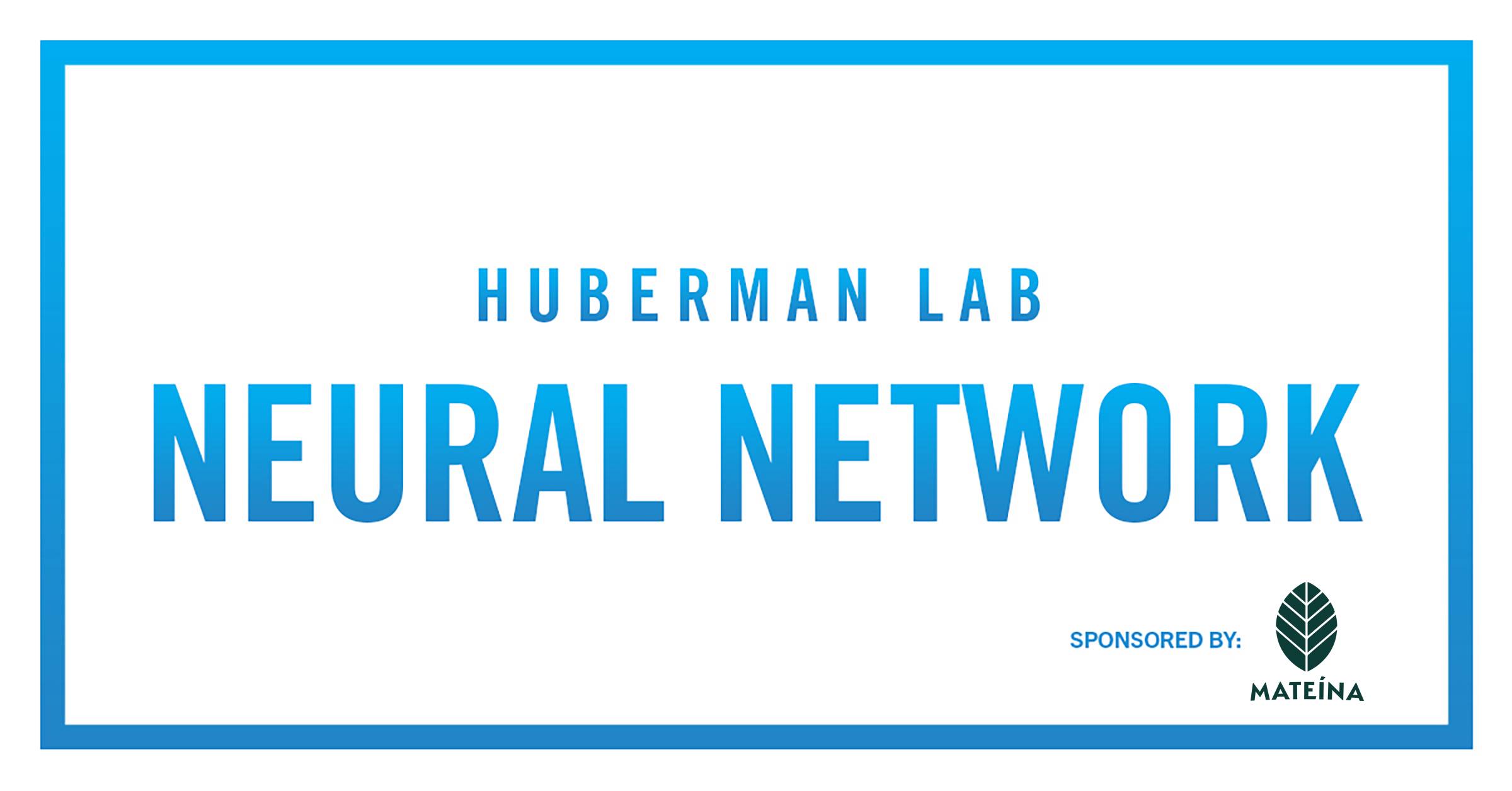 Huberman Lab Neural Network Sponsored by Mateina