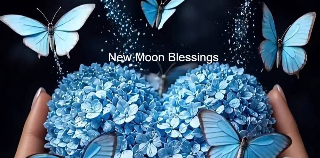 Kohava Howard Mindset coach ~ Holding Space for Each Other