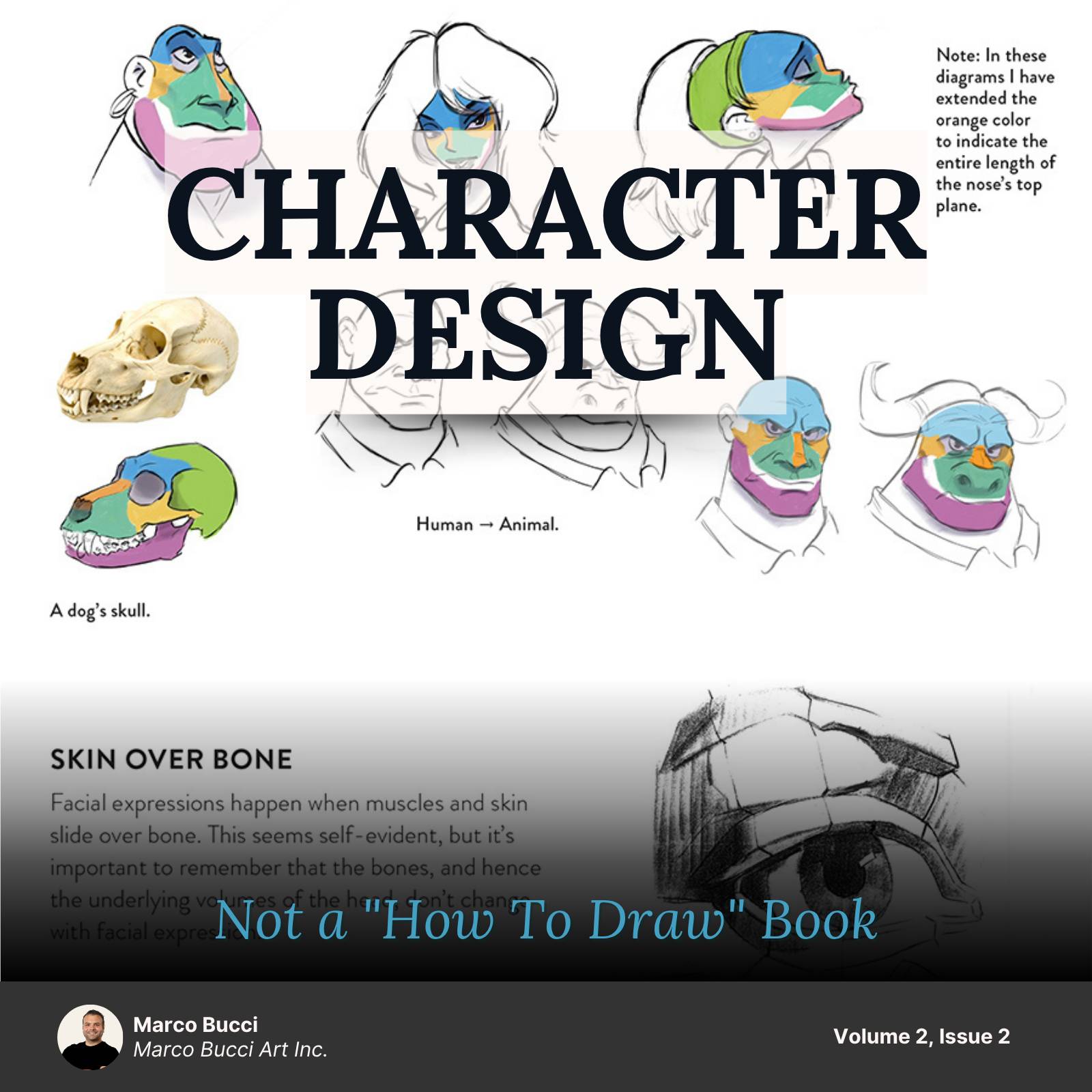 Character Design - Not a "How to Draw" Book