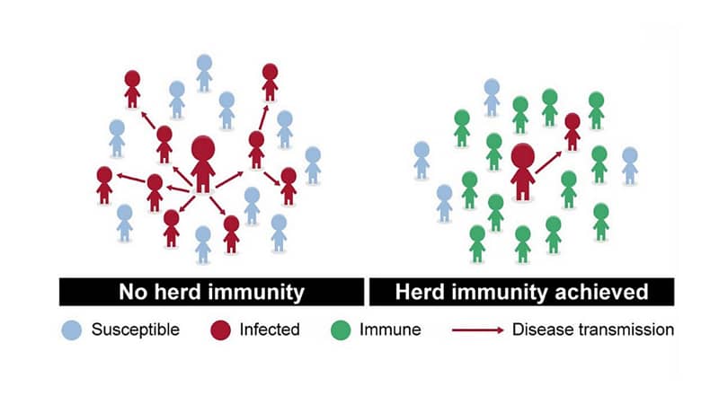 A graphic that demonstrates herd immunity