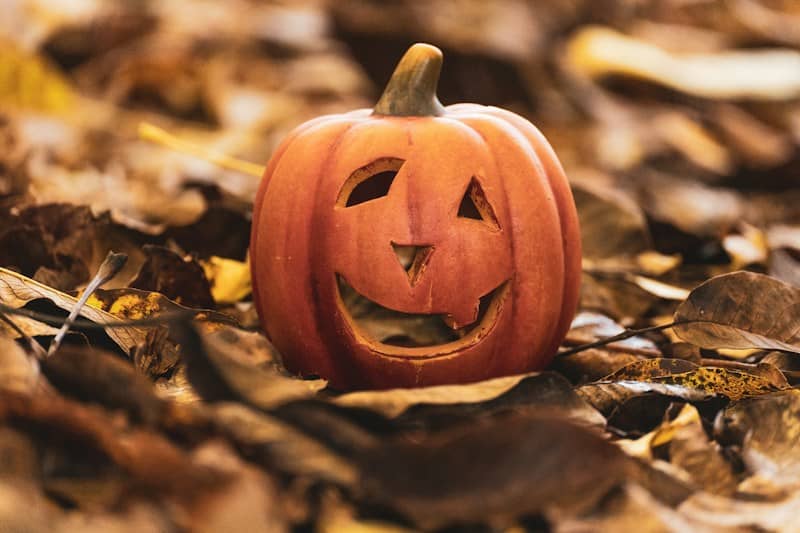 A carved jack-o'-lantern sitting among fallen autumn leaves on the ground