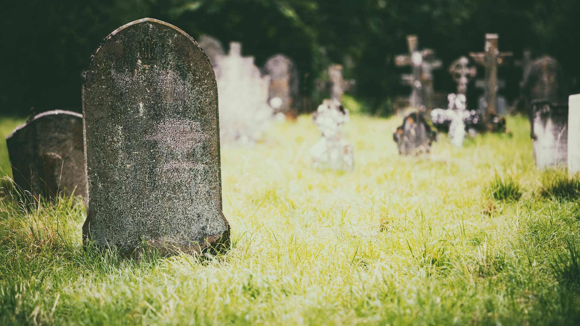 A weathered lichen covered gravestone stands tall in the foreground of a sunlit cemetery, framed by tall green grass that catches the light. Behind it, softly blurred stone crosses and headstones extend into the distance beneath the shadow of dark trees. The concept reflects on the finite nature of time and the quiet weight of legacy, illustrating how the small disciplines and habits we choose today shape the life that will eventually be remembered.