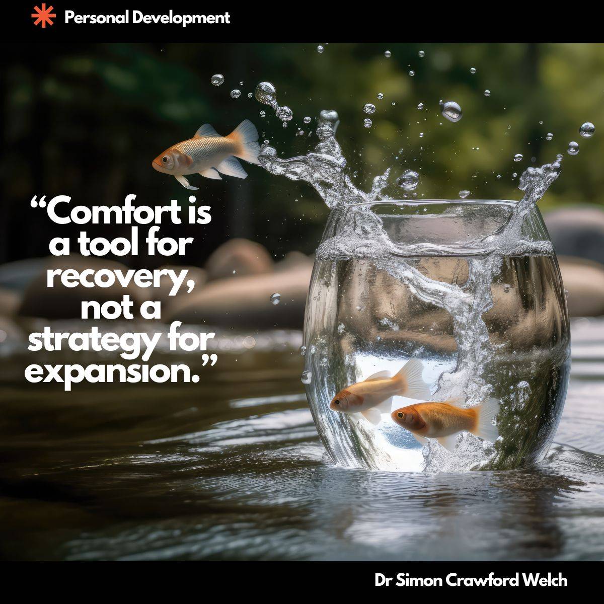 "Comfort is a tool for recovery, not a strategy for expansion." By Dr. Simon Crawford-Welch