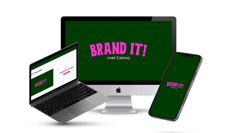 Canva font-combo's