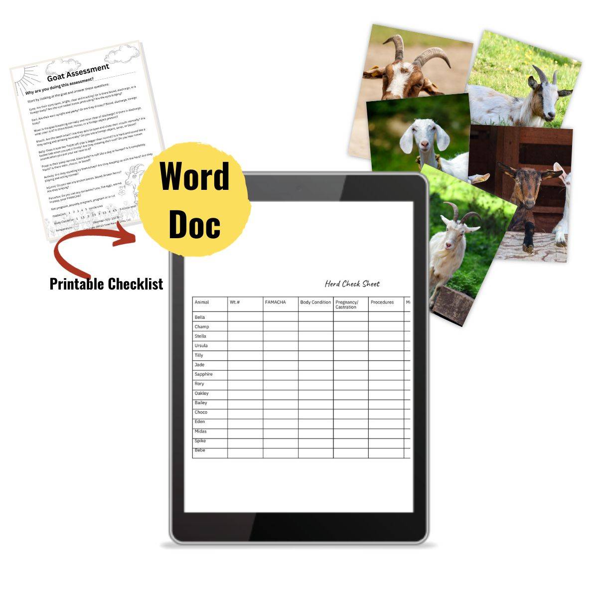 Herd Health Worksheet