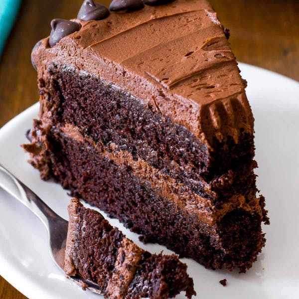 two layer chocolate cake with chocolate frosting and chocolate chips