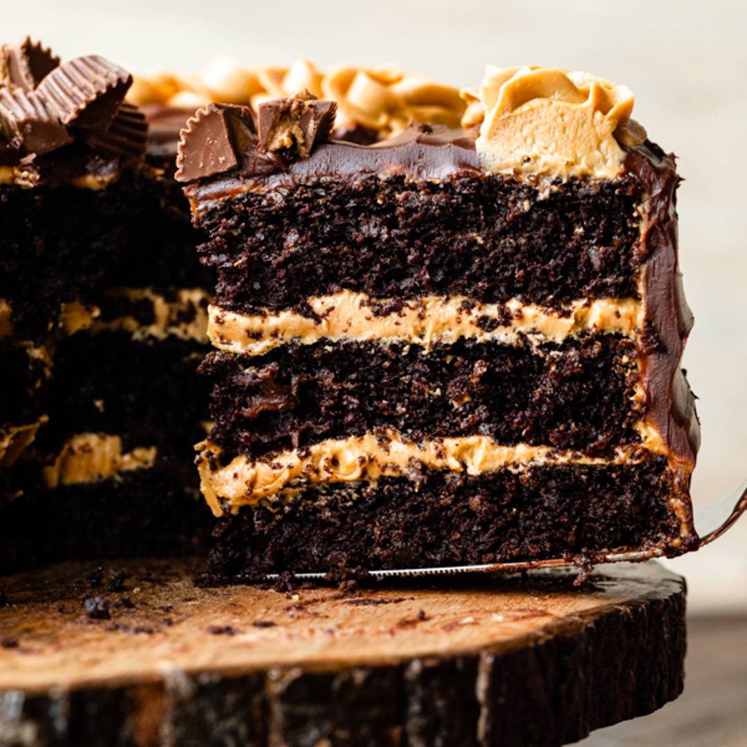chocolate peanut butter cake slice