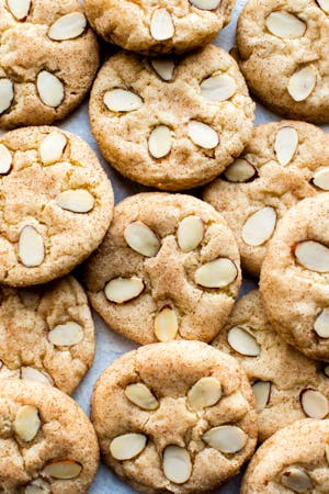 sand dollar cookies