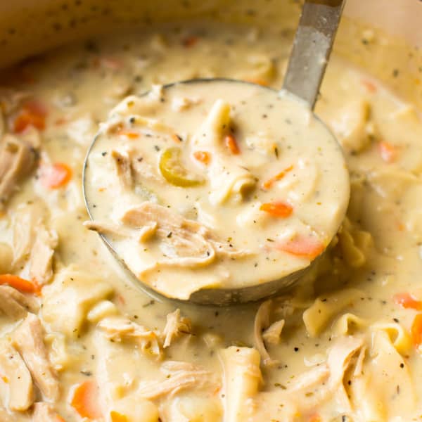 ladel of creamy chicken noodle soup